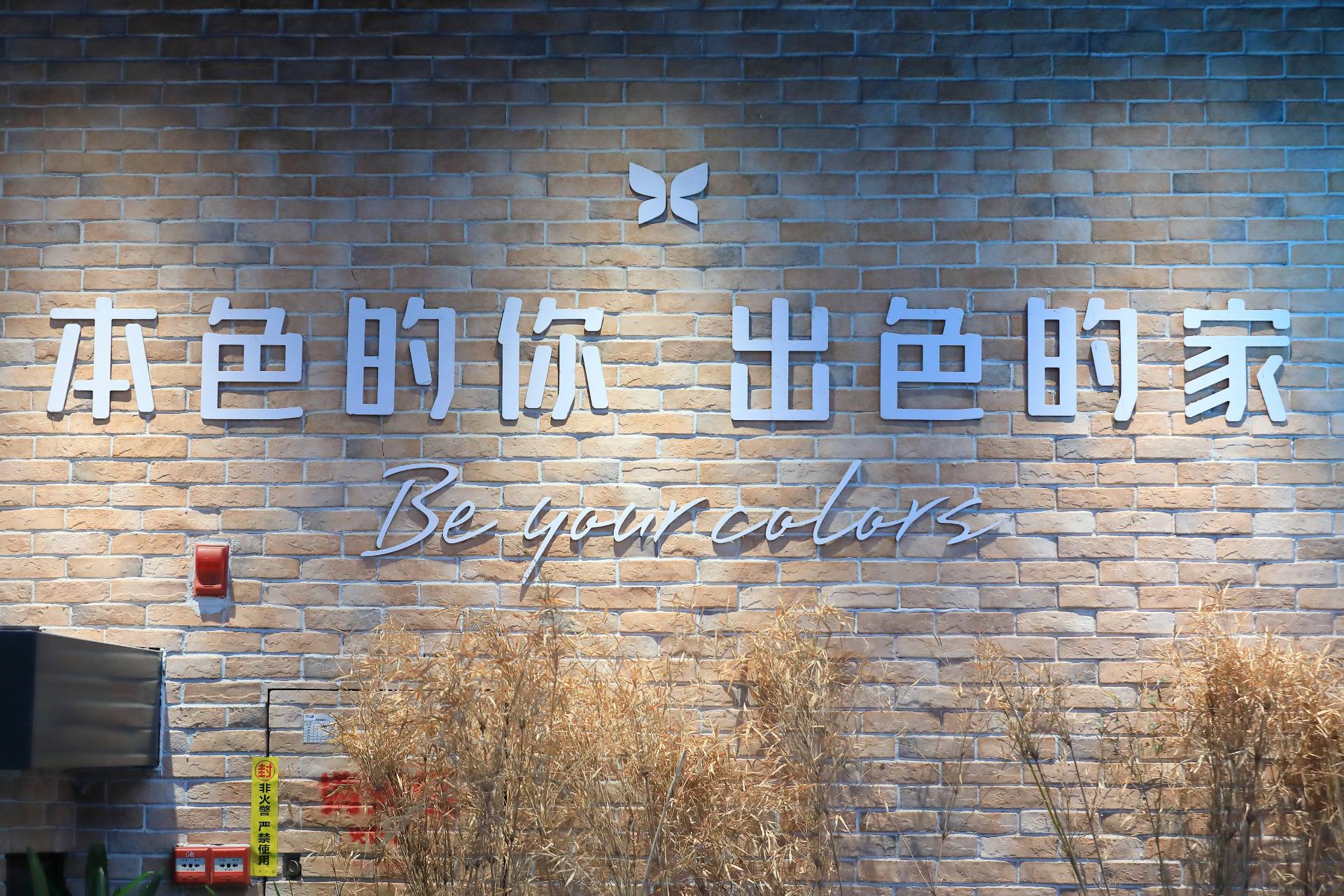 瑞宝全屋软装 | 一站式拎包新体验..